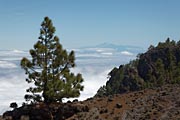 La Palma - Cumbre Vieja -
