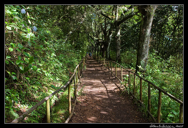 comfortable path to Casa das Queimadas