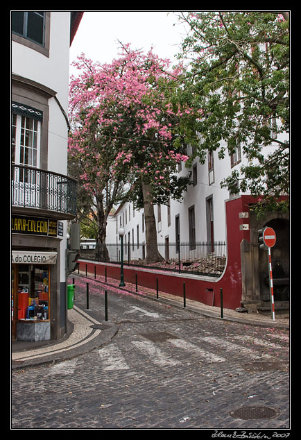 Rua Castanheiro - Funchal