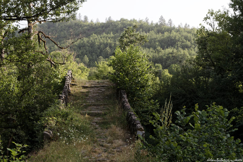 Pindos - Zagorochoria - Kipoi - Petsioni`s Stone Bridge