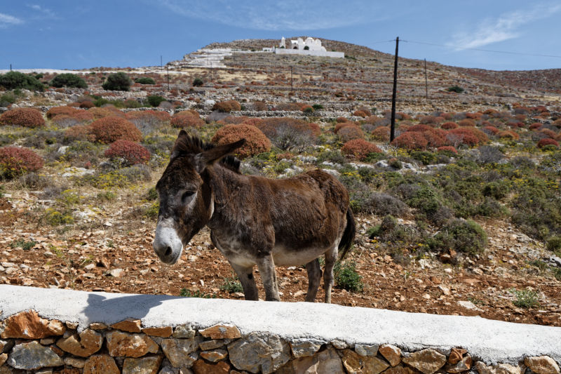 Folegandros - Chora -
