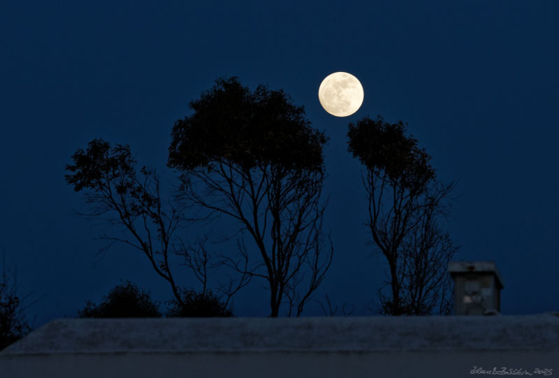 Folegandros - Chora -
