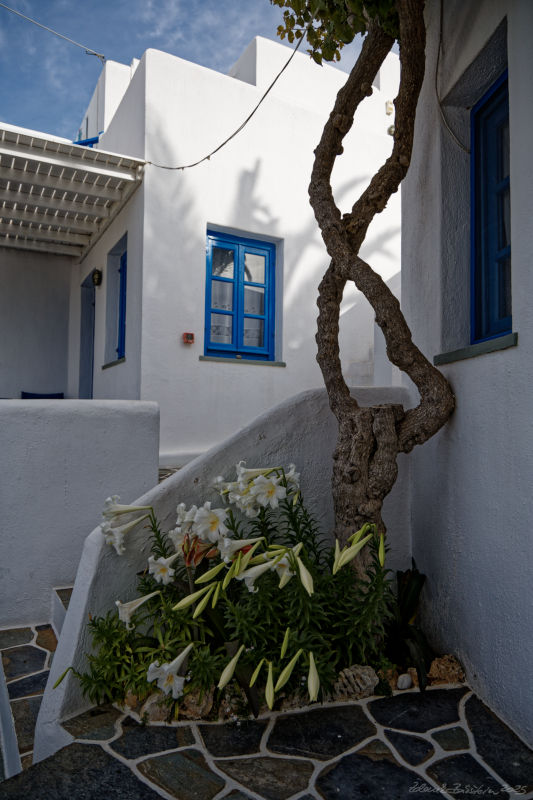 Folegandros - Chora -