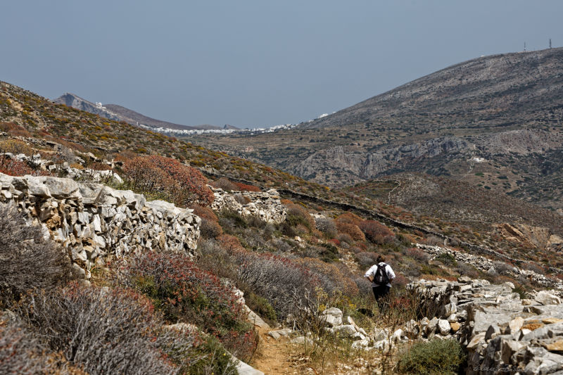 Folegandros - west - trail to Chora