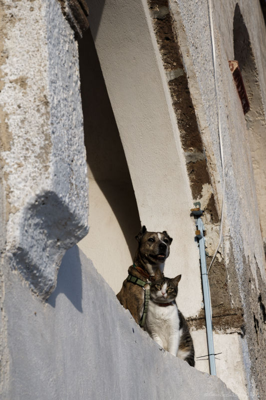 Thera (Santorini) - Pyrgos Kallistis -