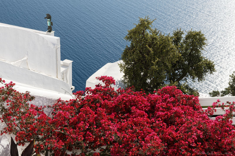 Thera (Santorini) - Firostefani -