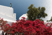 Thera (Santorini) - Firostefani -