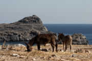 Lindos - Kleoboulos Tomb