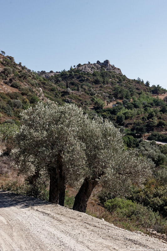 Laerma - Tharri  Asklipio - Asklepio Castle