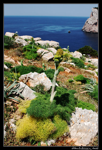 Capo Caccia -