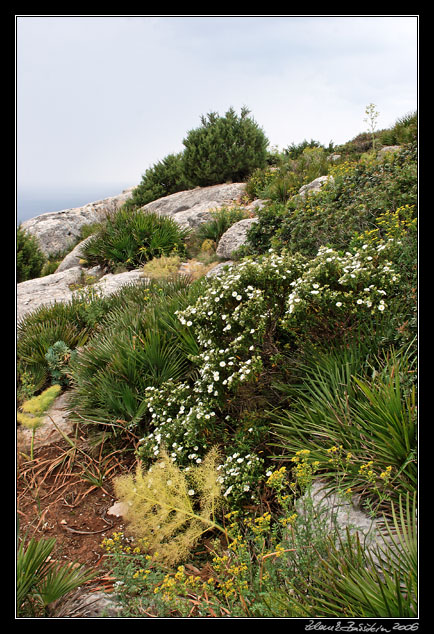 Capo Caccia -