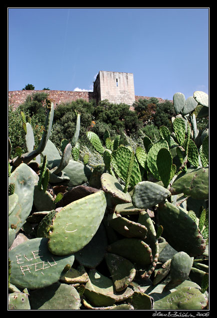 Bosa - the castle