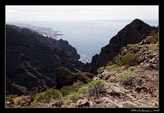 Teno - Guergues - Barranco Los Sauces