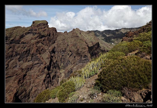 Teno - Guergues - Barranco de Masca