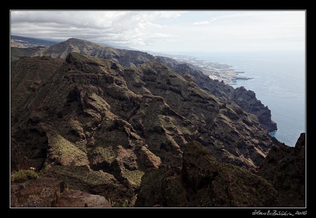 Teno - Guergues -  Barranco Los Sauces