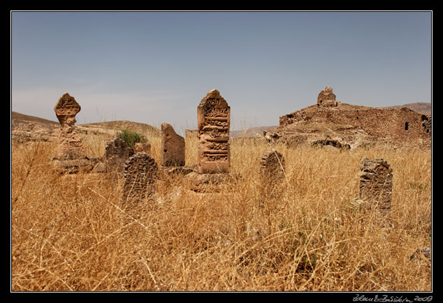 Turkey - Batman province - Hasankeyf - castle cemetary