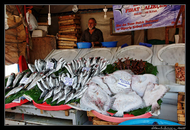 Istanbul - fish market, Karaky