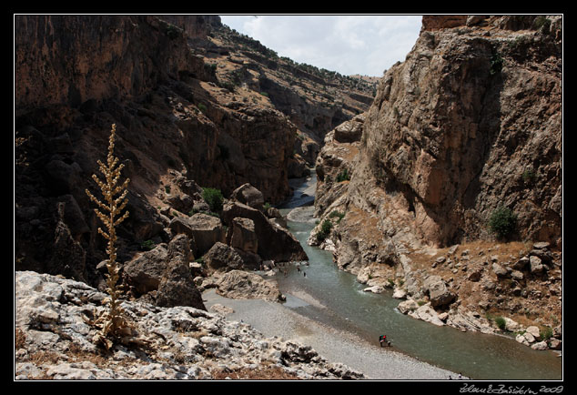 Turkey - Kahta district - Cendere ayı (Chabinas Creek)