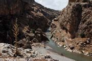 Turkey - Kahta district - Cendere ayı (Chabinas Creek)