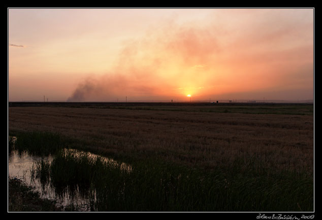 Turkey - anlıurfa province - burning stubbles