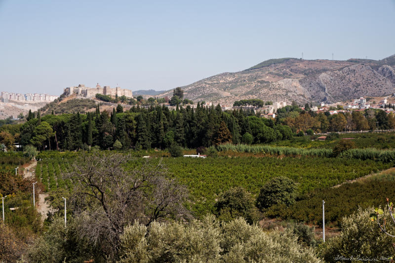 Selcuk - Ayasuluk citadel