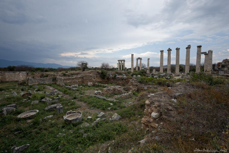 Afrodisias -