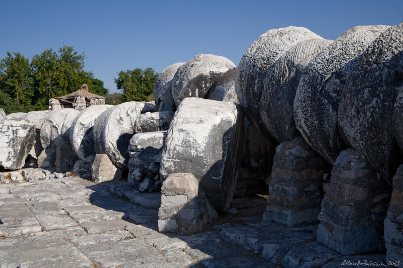 Didim - Temple of Apollo