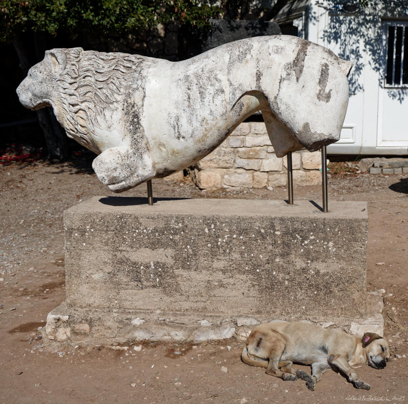 Didim - Temple of Apollo