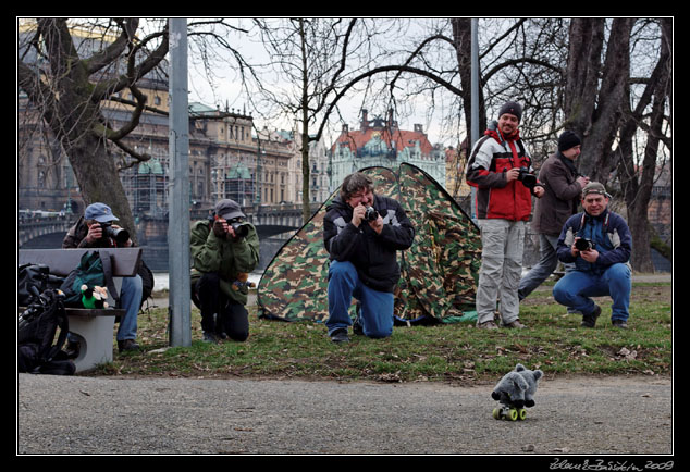 Wildlife photography workshop