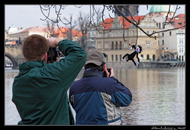 Wildlife photography workshop