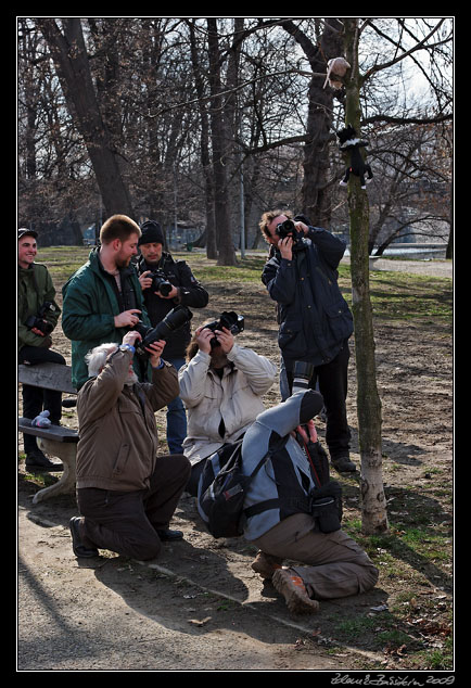 Wildlife photography workshop