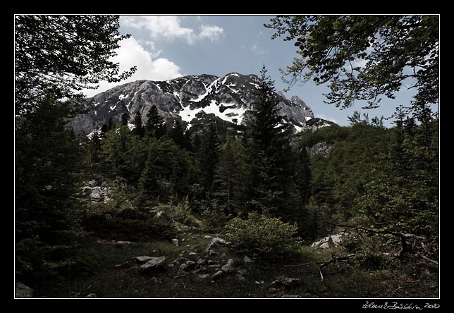 Montenegro - Durmitor