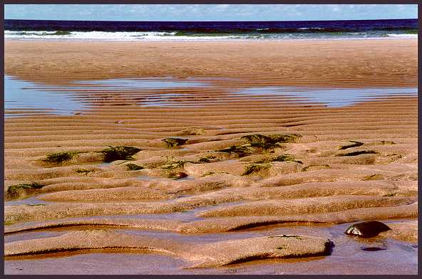 Sandwood Bay, Scotland, VIII.1999