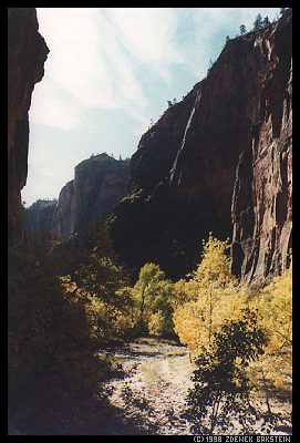 Zion, Utah, XI.1996. Praktica MTL3, Pentacon 29/2.8