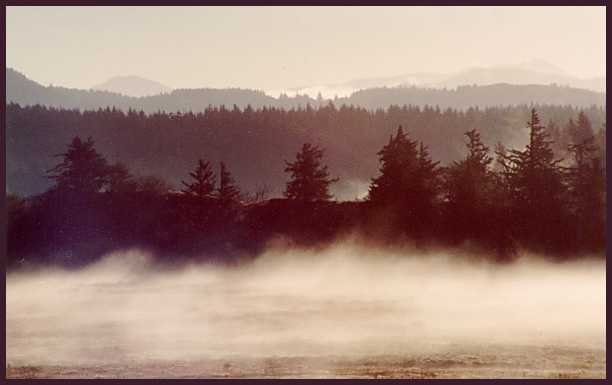 Cape Blanco, Oregon, X.1998. Praktica MTL3